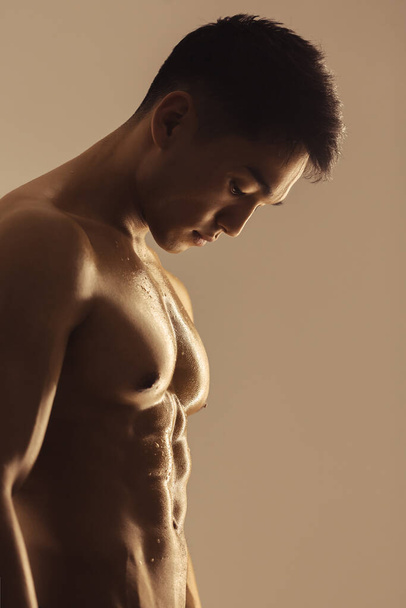 Portrait of Muscular Asian Man Indoors in Studio - Foto, afbeelding