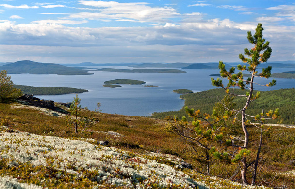 landscape, view of the northern lake from a high hill, tree - Fotoğraf, Görsel
