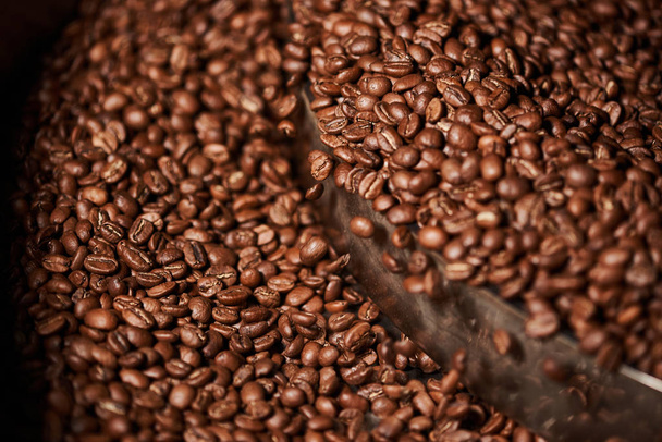 Свіжообсмажена коричнева кава. Крупним планом
. - Фото, зображення