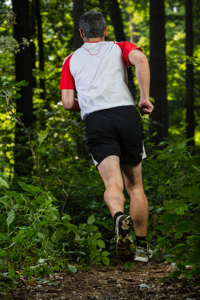 trail running in the woods - Фото, зображення