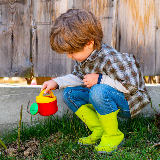 Flower care and watering. Become little farmer. Happy little farmer having fun on field. Springtime or summertime for kids on the ranch. - Foto, imagen