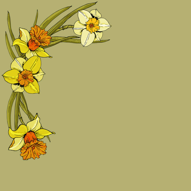 Elegante bloemige achtergronden met narcis tuin bloem, delicaat - Vector, afbeelding