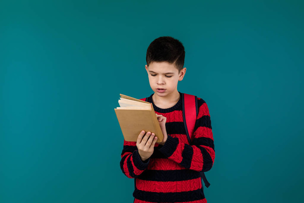 little cheerful school boy with book - Foto, Bild