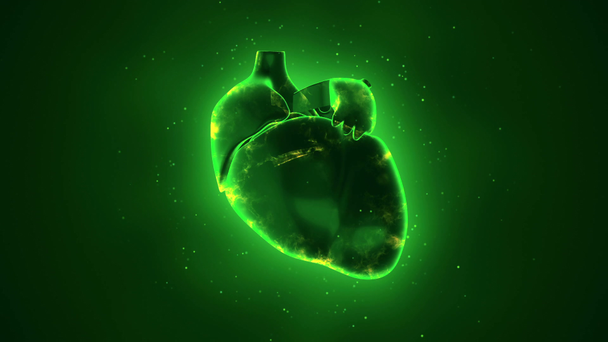 animace rotace lidského srdce s nervovými impulsy. koncepce zdravotní péče. Animace bezešvé smyčky - Záběry, video
