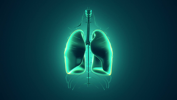 Abstract background with animation of rotation realistic Human Lungs. Backdrop with glow neurons inside Lungs. Animation of seamless loop - Footage, Video