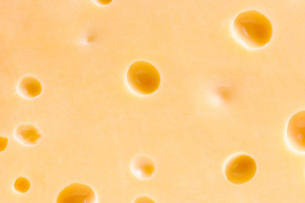 Piece of tasty cheese - Foto, Imagen