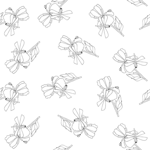 Dragonfly, ladybug, spider on iris flower seamless pattern. Monochrome hand drawn art design elements stock vector illustration for web, for print, bed cloth, for wallpaper, for upholstery - Vektor, obrázek