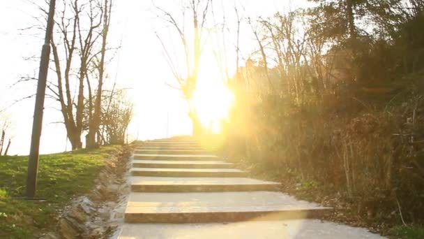 stoned stairs in a park at sunset - Video, Çekim
