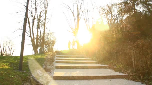 stoned stairs in a park at sunset - Metraje, vídeo