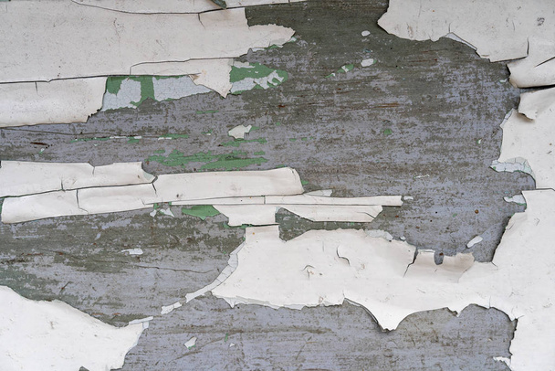 white paint peeling off the wooden base. Old wooden detail with peeling white paint. Corroded painted coating. Old wooden board with faded paint. - Zdjęcie, obraz