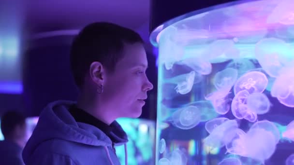 Femme observant des méduses exotiques dans un aquarium. Méduses de lune, Aurita Aurelia ou gelée aux soucoupes
. - Séquence, vidéo