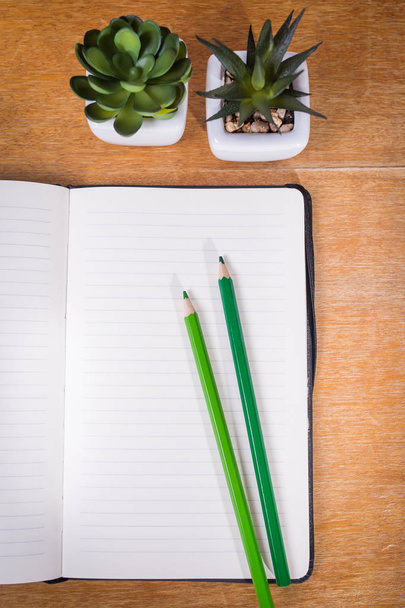 succulent and notebook - Фото, зображення