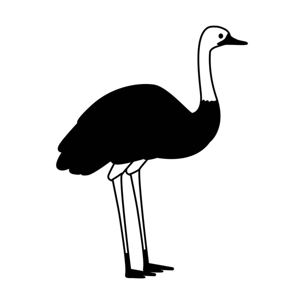 cute emu on white background - Vector, Image