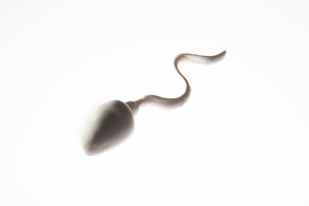 Αντικείμενο σχήματος σπέρματος στο παρασκήνιο - Φωτογραφία, εικόνα