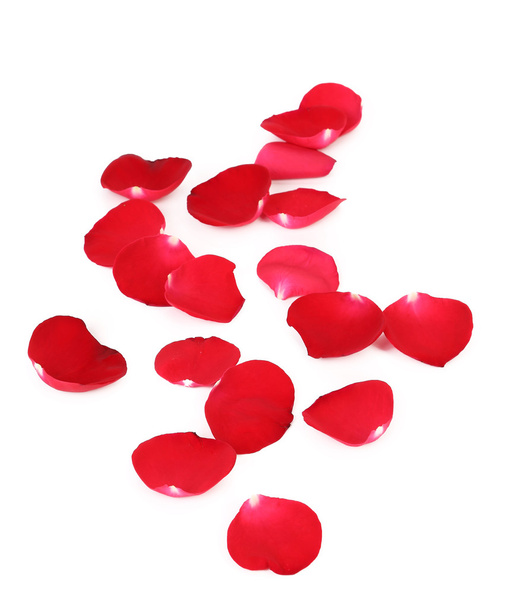 Close up of red rose petals. - Φωτογραφία, εικόνα