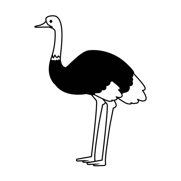 cute ostrich on white background - Vector, Image