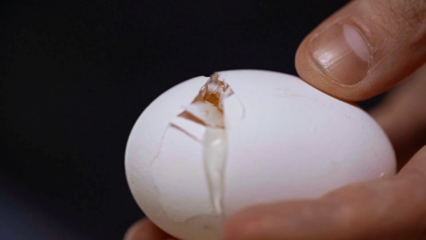 Slow-motion of man breaking egg  - Video, Çekim