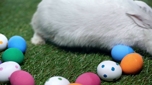 rack focus of rabbit near easter eggs on grass  - Кадры, видео