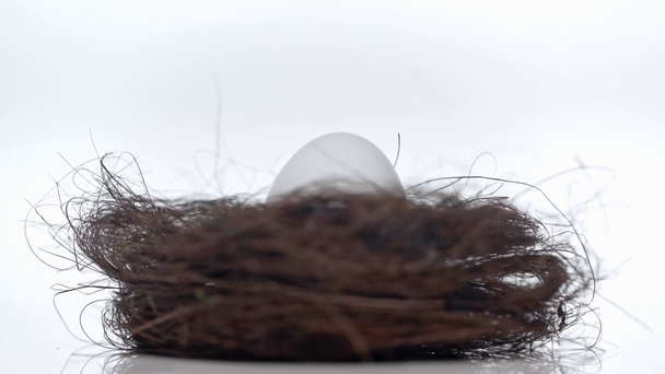 περιστρεφόμενη φωλιά με αυγό στο λευκό  - Πλάνα, βίντεο