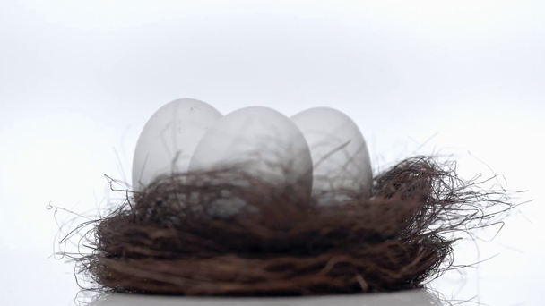 rotující hnízdo s vejci na bílém  - Záběry, video
