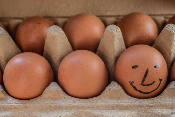 barna tojás boldog csirkéktől - Fotó, kép
