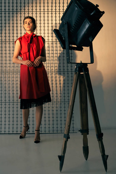 Lady in red posing in studio. - 写真・画像