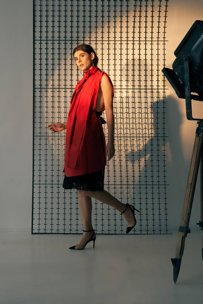 Lady in red posing in studio. - 写真・画像