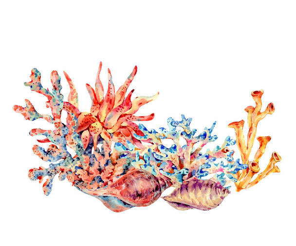 Watercolor vintage sea life natural greeting card, underwater su - Photo, Image