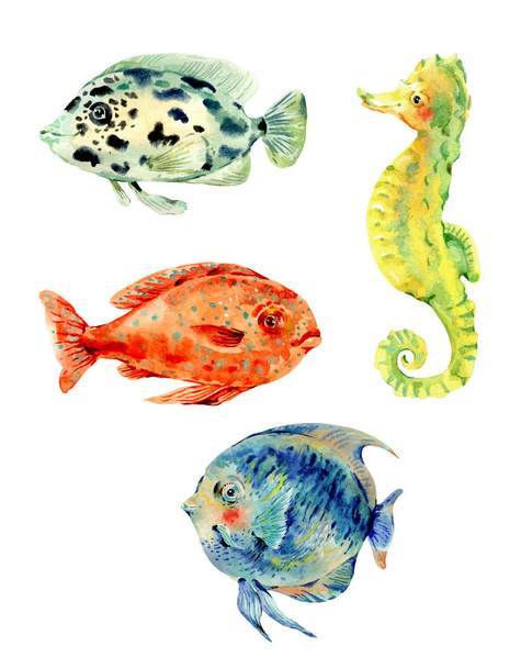 Акварель натуральный винтажный набор морских рыб. Подводная иллюстрация
 - Фото, изображение