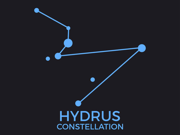 Hydrus constellation. Stars in the night sky. Cluster of stars and galaxies. Constellation of blue on a black background. Vector illustration - Vector, Image