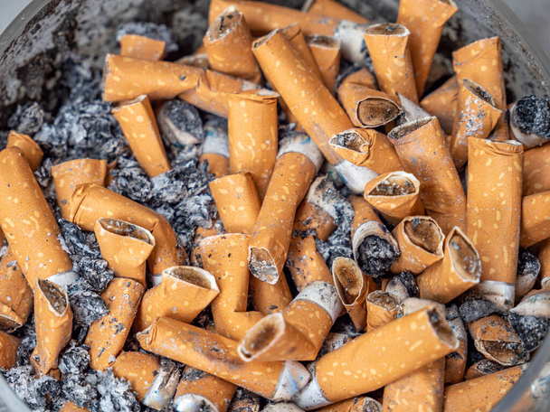 Cigarette addiction: many cigarettes with ashes - Photo, Image