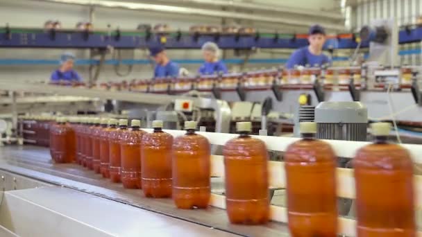 Sklep do butelkowania piwa w browarze z pracownikami - Materiał filmowy, wideo