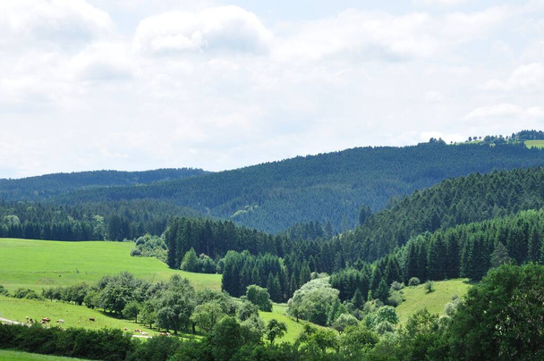 vista do castelo roggenbach sobre a floresta negra - Foto, Imagem