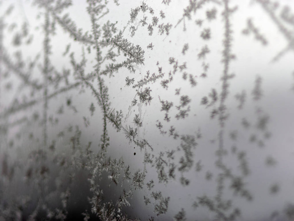 Buz çiçeği dokusu, bulanık arkaplanda buz çiçeği parçaları. - Fotoğraf, Görsel