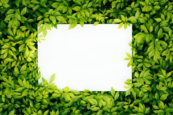 Tarjeta de papel maqueta en hojas verdes. diseño creativo hecho de flores y hojas con nota de tarjeta de papel. Acostado. Concepto de naturaleza - Foto, imagen
