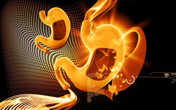 Digital illustration of  stomach  in colour  background 	 - Foto, imagen