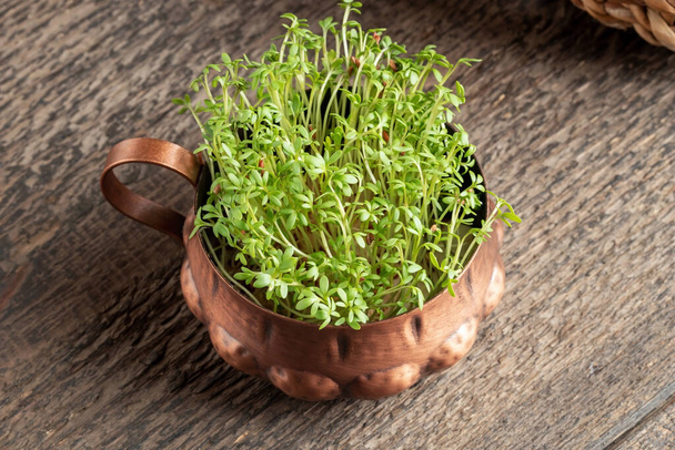 Fresh young garden cress growing in a bowl - Photo, Image