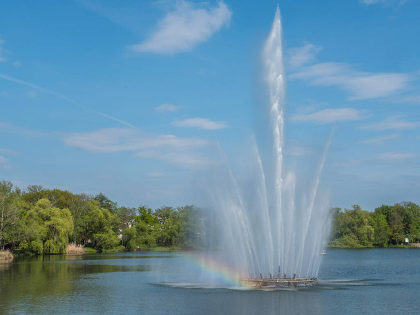 Fountains on the Zwickau Swan Pond - Фото, изображение