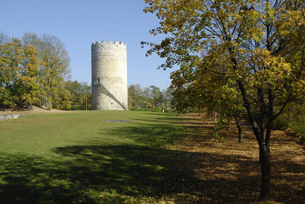 castle on the burgberg,birthplace of emperor heinrich ii 973 - 写真・画像