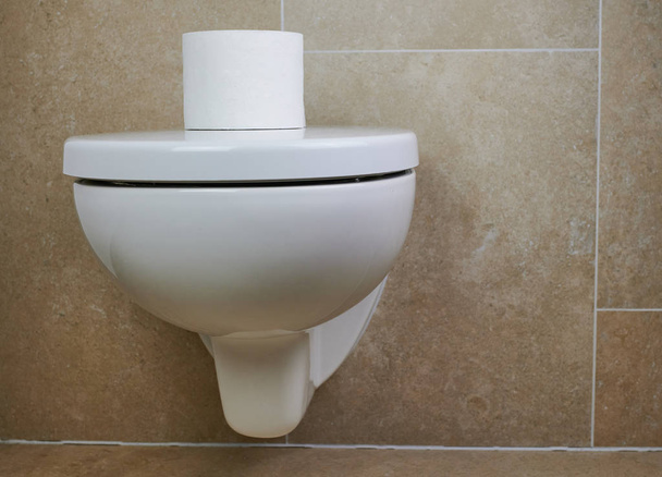 wall-mounted white toilet against brown tiles in a private bathroom - Photo, Image