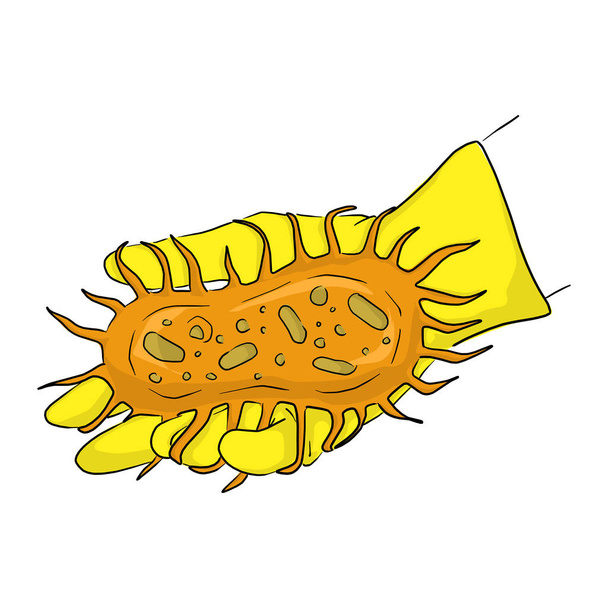 ręka z żółtą gumową rękawicą trzymając duży pomarańczowy wektor wektor ilustracja szkic doodle strony narysowane na białym tle - Wektor, obraz