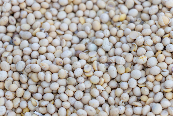 Raccolta della soia, cumulo di coltura di soia sporca, concentrazione selettiva del fondo dei semi di soia, agricoltura
 - Foto, immagini