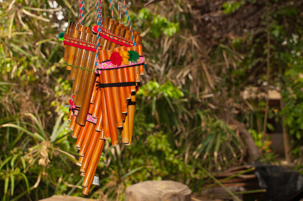 чилийские духовые инструменты
 - Фото, изображение