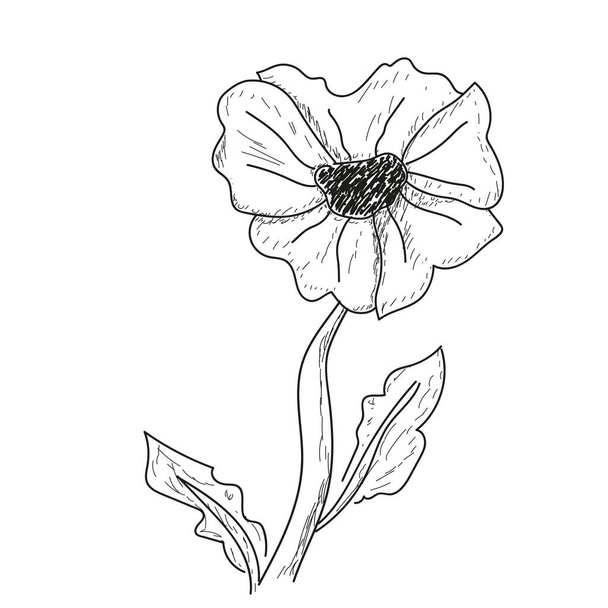 Isolated flower sketch - Vector, Image