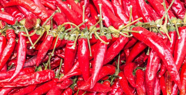 chilli peppers spicy background - Foto, Imagen