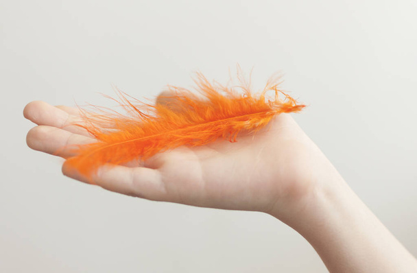 Child's hand holding orange feather over white background - Photo, Image