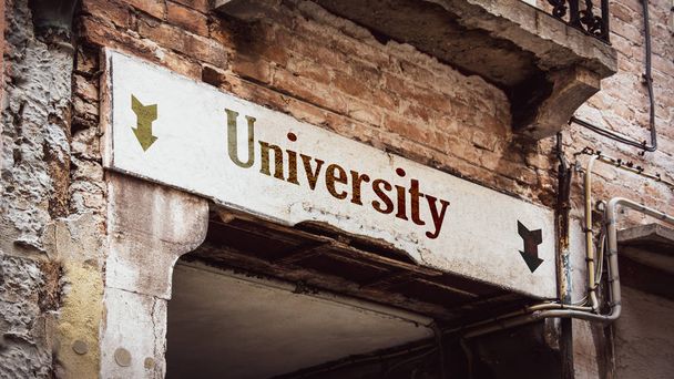 Вуличний знак до університету
 - Фото, зображення