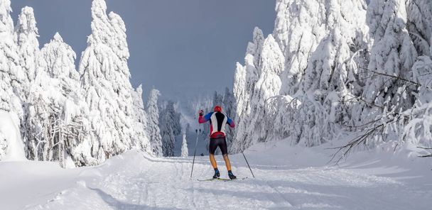 Esportes de inverno no Fichtelberg na Saxônia
 - Foto, Imagem