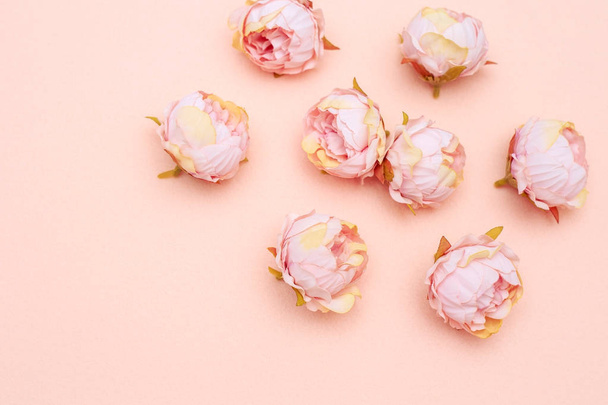 Fondo floral y suave, brotes de peonía de crema artificial sobre un fondo rosa
 - Foto, imagen
