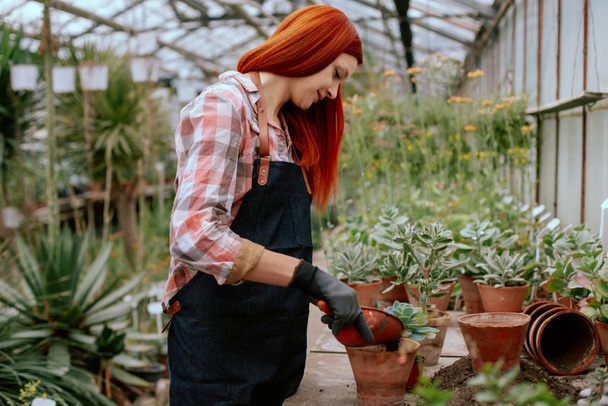 Mooie roodharige vrouw tuinier in een grote bloemenkas werken geconcentreerd ze plantte een bloem in een pot - Foto, afbeelding